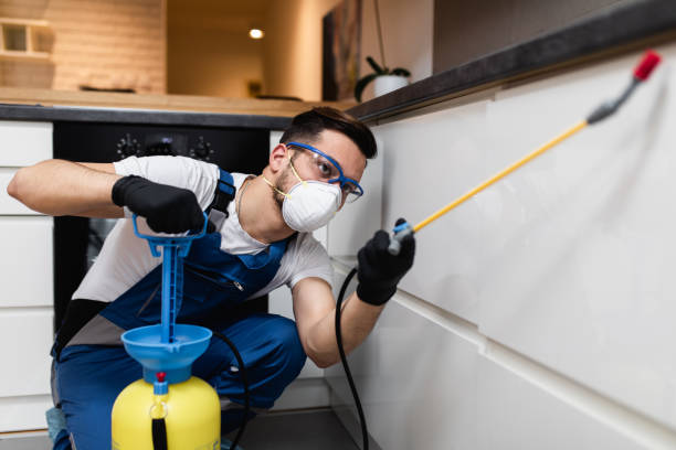 Best Residential Pest Control  in Picayune, MS
