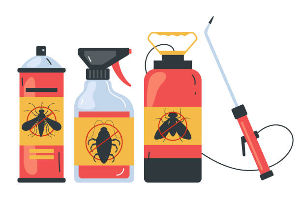 Best Spider Control Near Me  in Picayune, MS