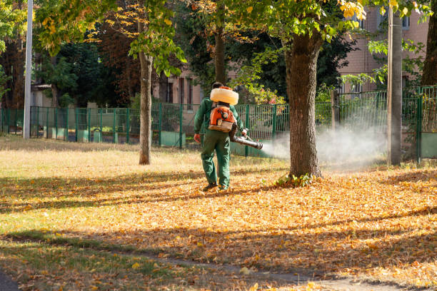 Reliable Picayune, MS Pest Control Solutions