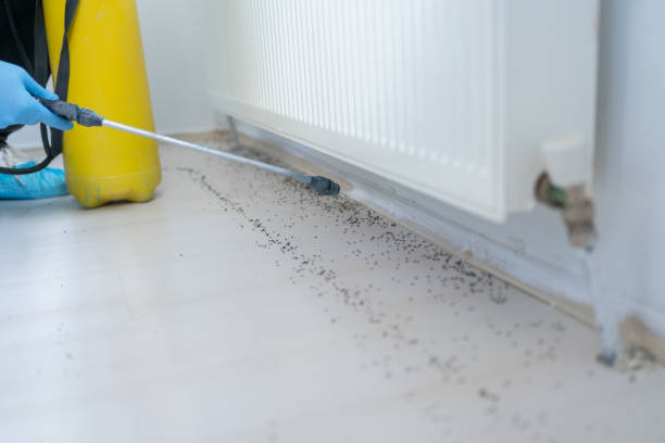 Best Exterminator Services  in Picayune, MS