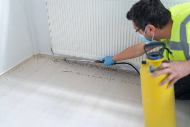 Best Pest Removal Services  in Picayune, MS